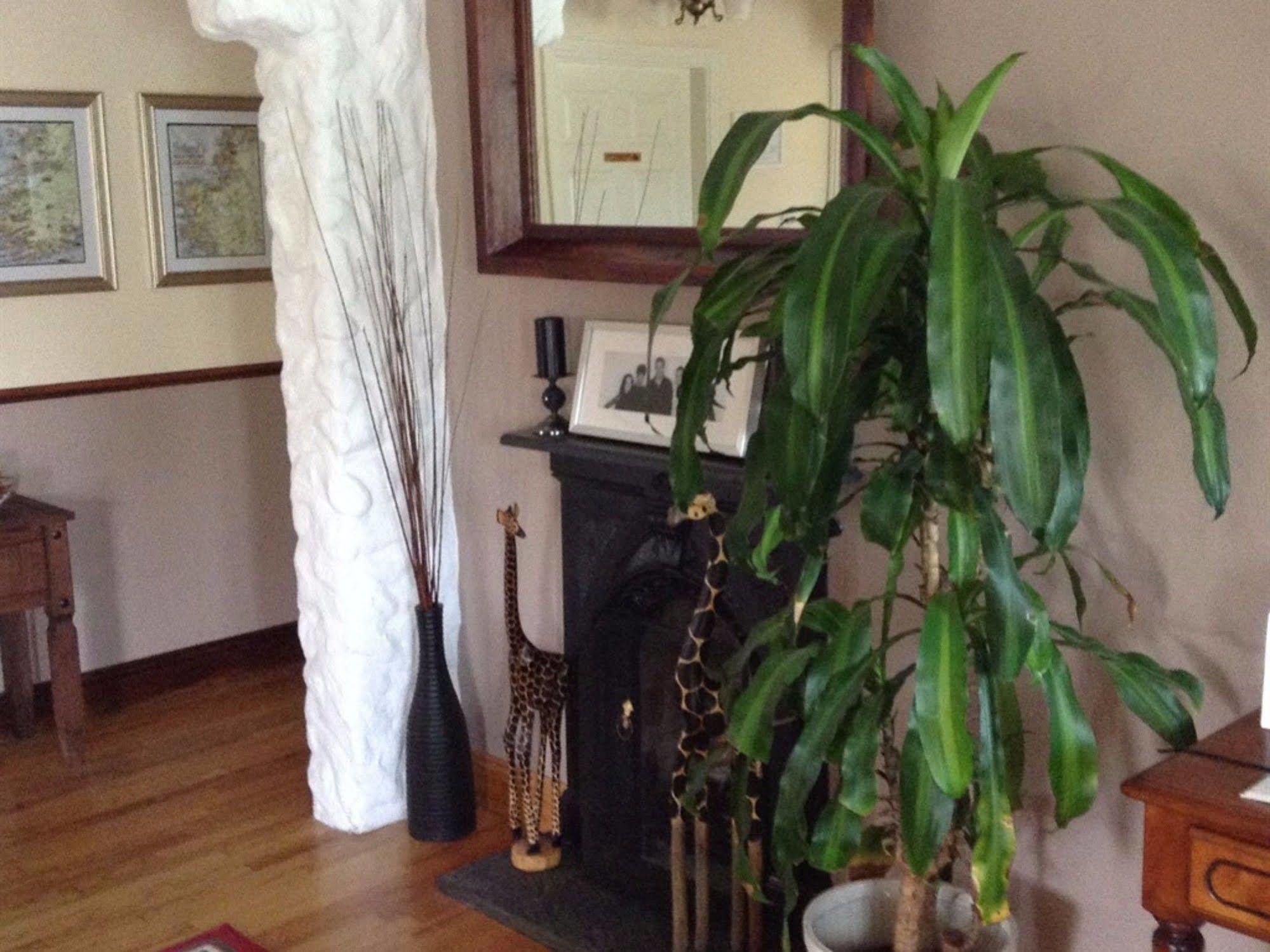Elements B&B Lisdoonvarna Εξωτερικό φωτογραφία